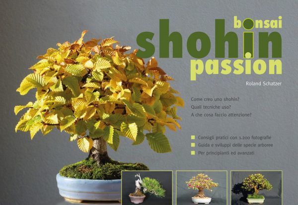 Bonsai shohin passion