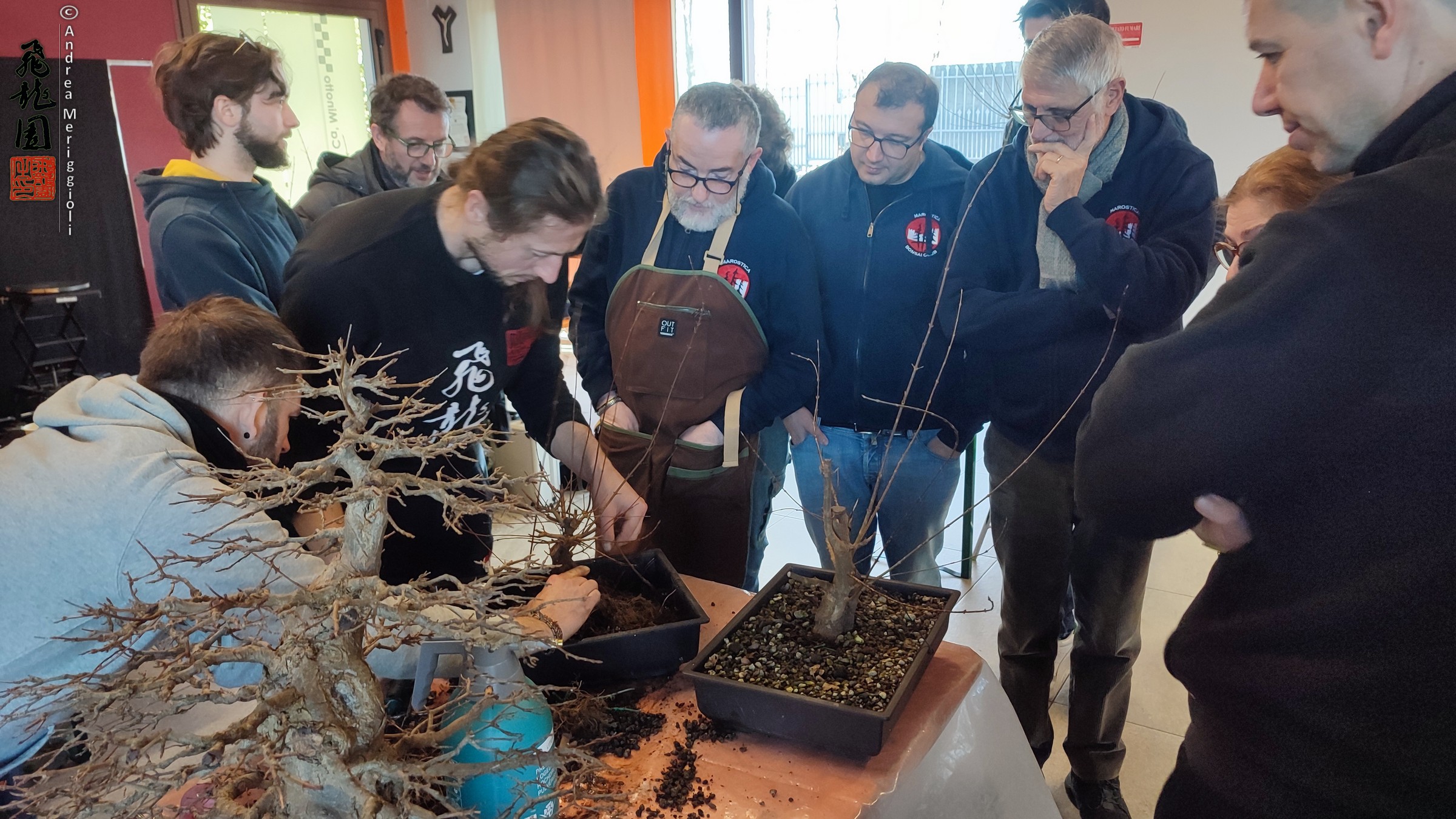 Workshop con Marostica bonsai club