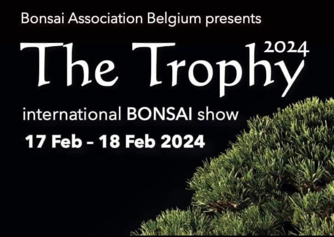 the trophy 2024